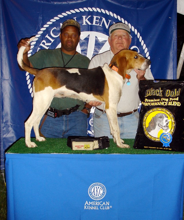 tarheel beagle club