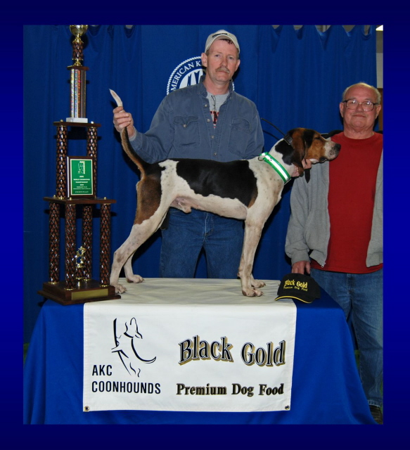 Pkc world champion hot sale coonhounds